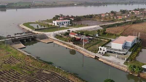 LẮP ĐẶT PHAO QUÂY DẦU THƯỜNG TRỰC TẠI NHÀ MÁY NƯỚC SẠCH RẠNG ĐÔNG